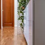 公寓 Interno 39 - San Pietro 罗马