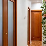 Interno 39 - San Pietro